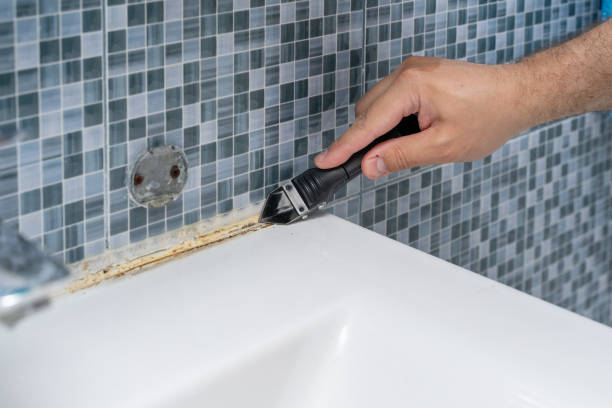Best White Mold Remediation in Sandusky, OH